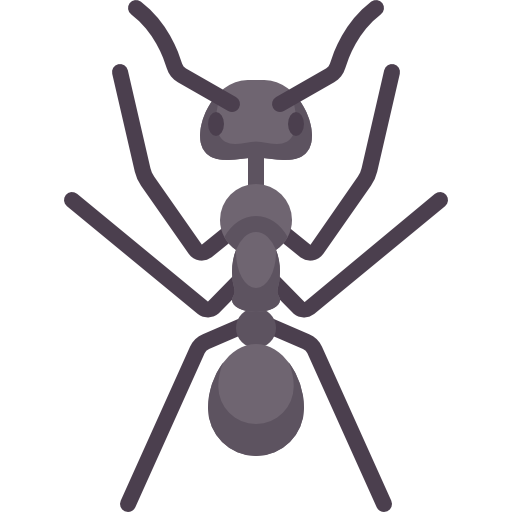 Black ant control